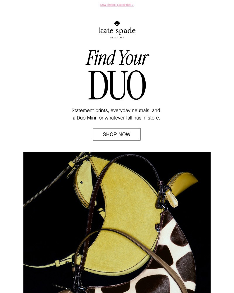 Screenshot of email with subject /media/emails/incoming-the-fall-duo-mini-drop-6ecd30-cropped-e6ef7453.jpg