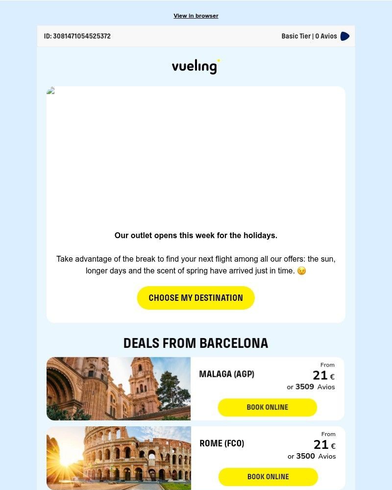 Screenshot of email sent to a Vueling Registered user