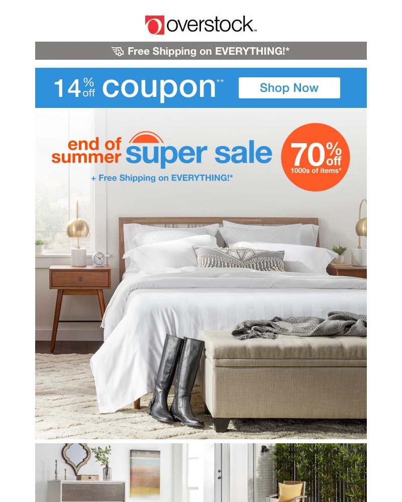 Screenshot of email with subject /media/emails/incredible-savings-are-in-your-future-grab-this-14-off-coupon-now-expires-tonight_4sPN2Lt.jpg