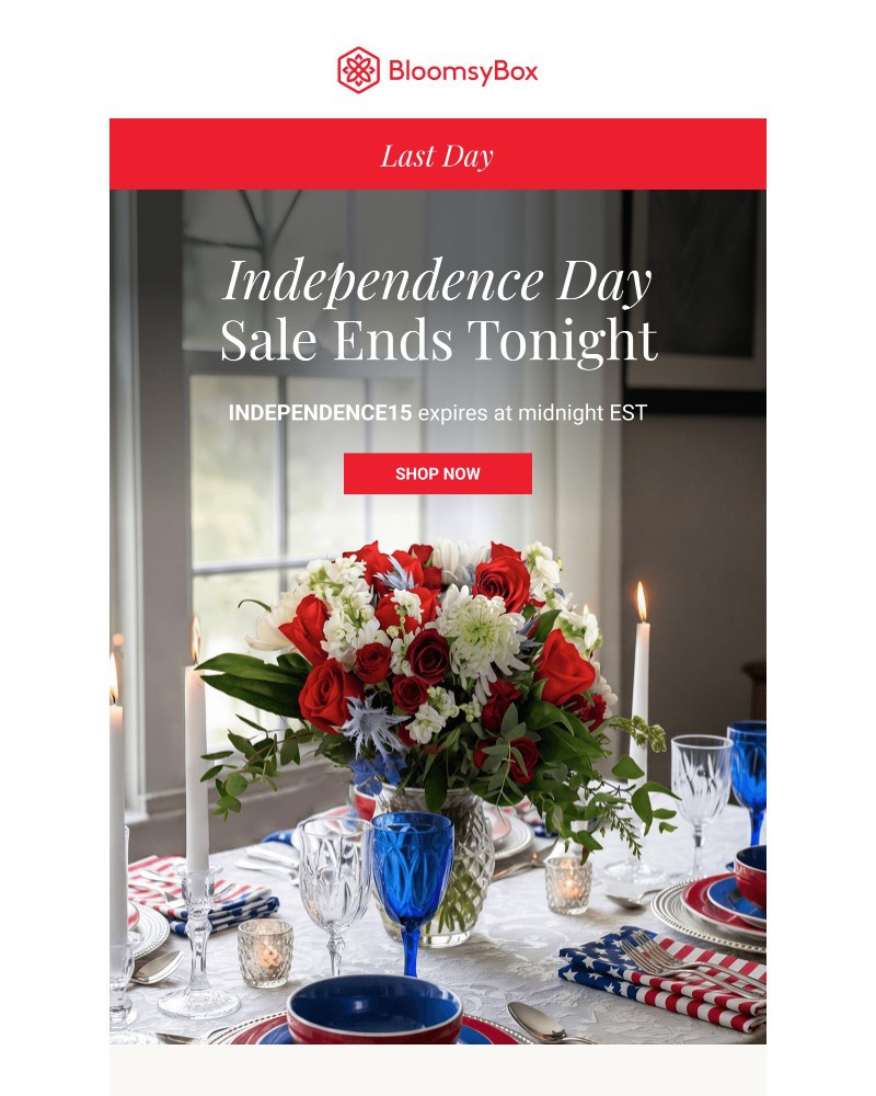 Screenshot of email with subject /media/emails/independence-day-savings-end-tonight-38b804-cropped-7ef5d8a3.jpg
