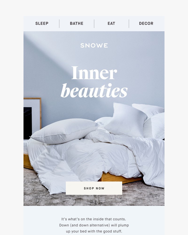 Screenshot of email with subject /media/emails/inner-beauties-c97246-cropped-939c3ba0.jpg