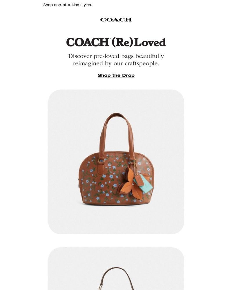 Screenshot of email with subject /media/emails/inside-all-new-coach-reloved-8b7194-cropped-e6730289.jpg