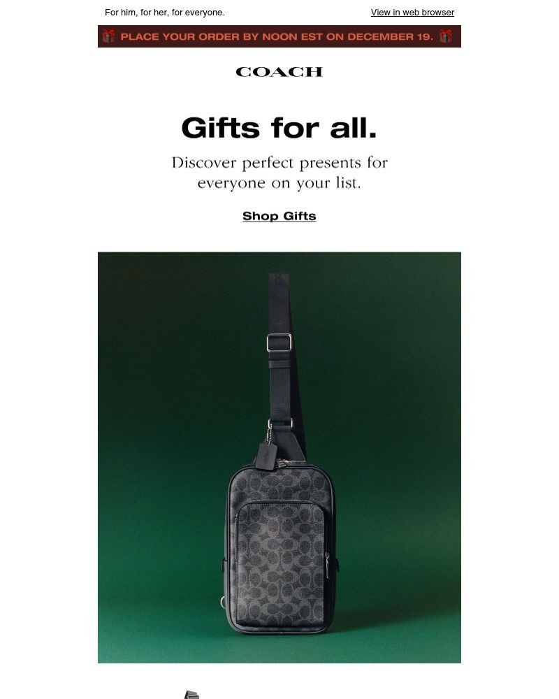 Screenshot of email with subject /media/emails/inside-gift-worthy-styles-19c927-cropped-d65439ca.jpg