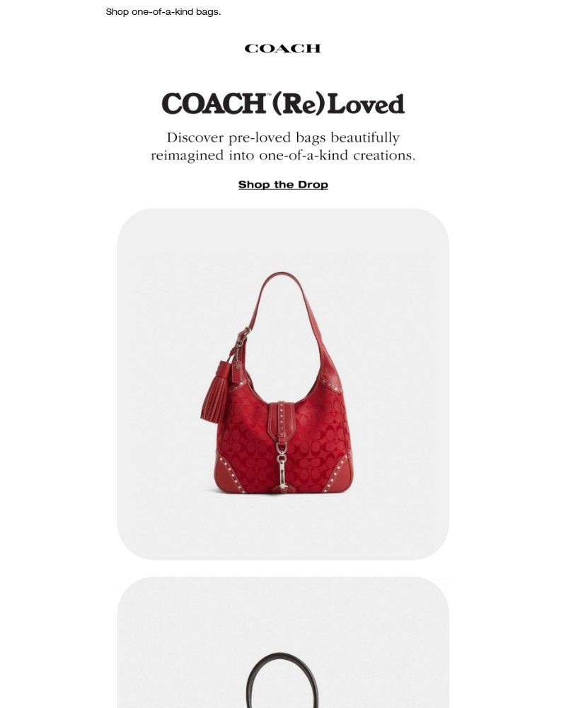 Screenshot of email with subject /media/emails/inside-new-coach-reloved-627dfe-cropped-95474bbc.jpg