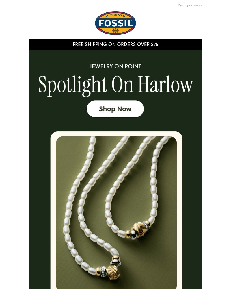 Screenshot of email sent to a Fossil Newsletter subscriber