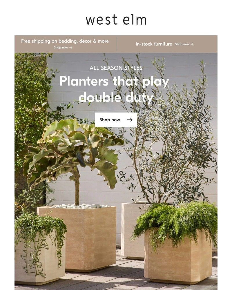 Screenshot of email with subject /media/emails/inside-next-level-planters-023866-cropped-fe0df43f.jpg
