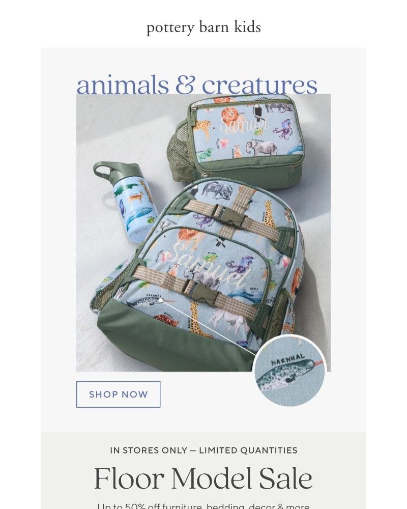 Screenshot of email with subject /media/emails/inside-the-2026-backpack-trend-report-d29898-cropped-ef15e1b2.jpg