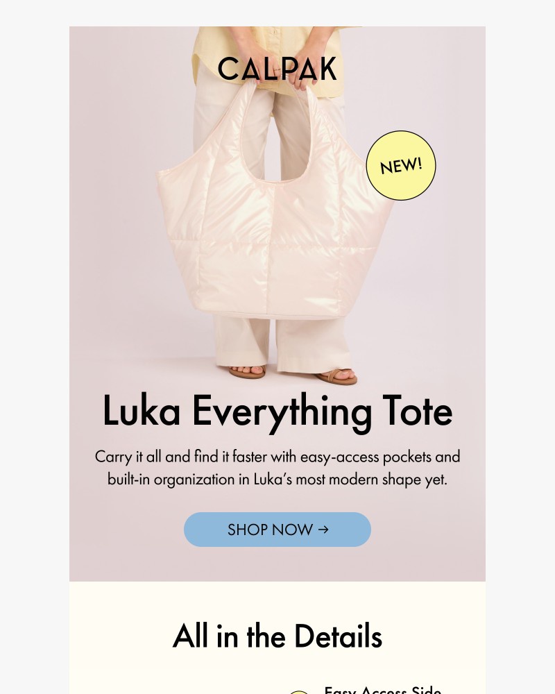 Screenshot of email sent to a Calpak Newsletter subscriber