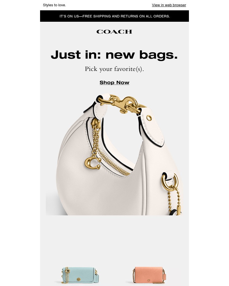 Screenshot of email with subject /media/emails/inside-your-new-favorite-bag-f8d178-cropped-82616f52.jpg