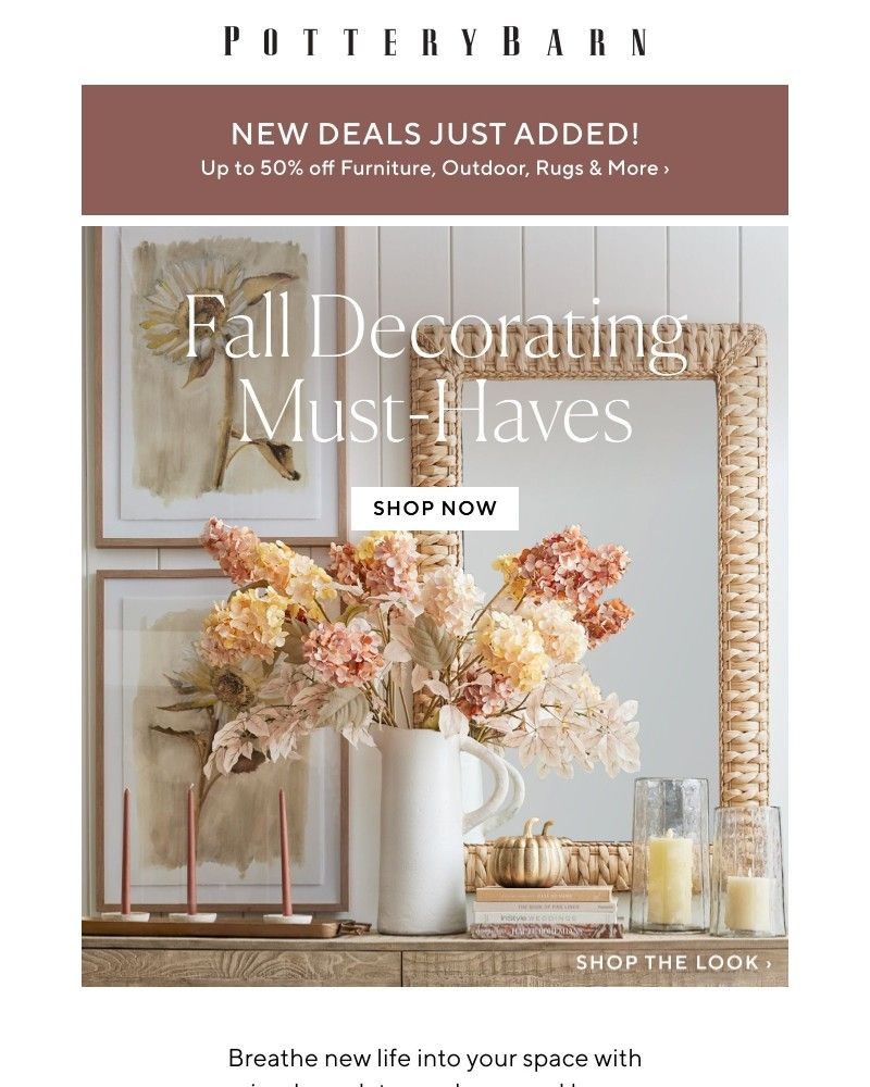 Screenshot of email with subject /media/emails/inspo-awaits-new-fall-decorating-ideas-f5311a-cropped-24e57705.jpg