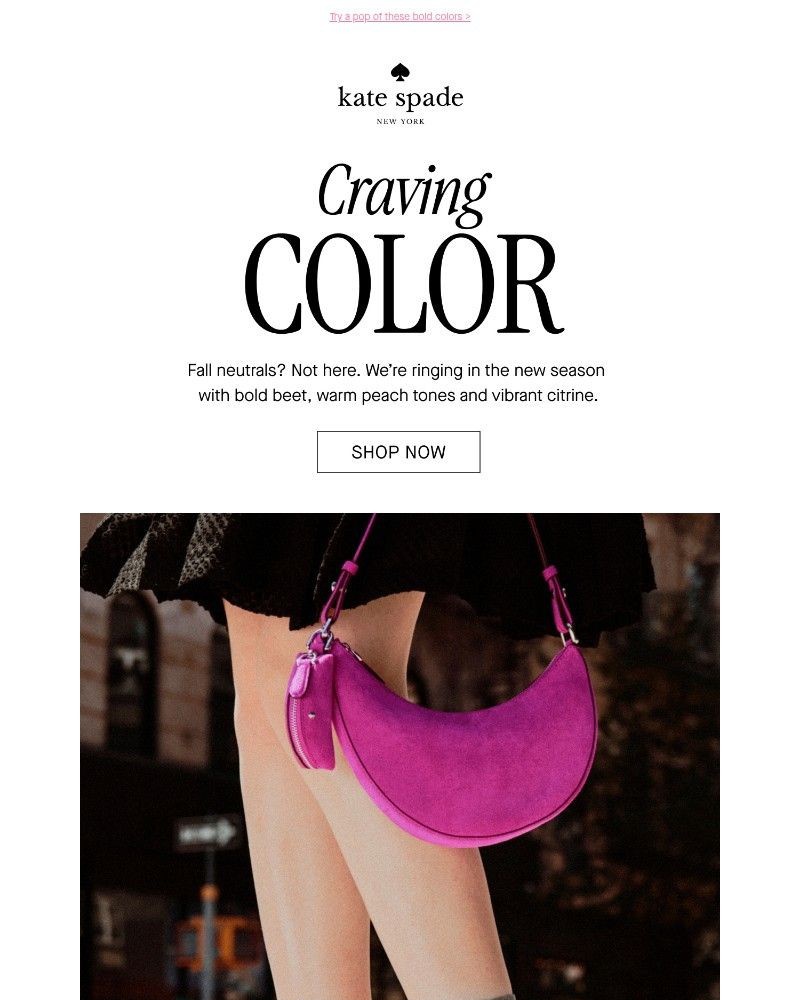 Screenshot of email with subject /media/emails/instant-outfit-upgrade-8d112f-cropped-425540db.jpg