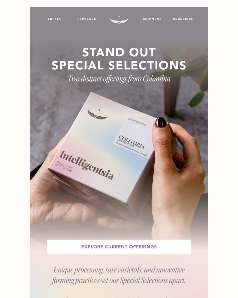 Screenshot of email sent to a Intelligentsia Newsletter subscriber