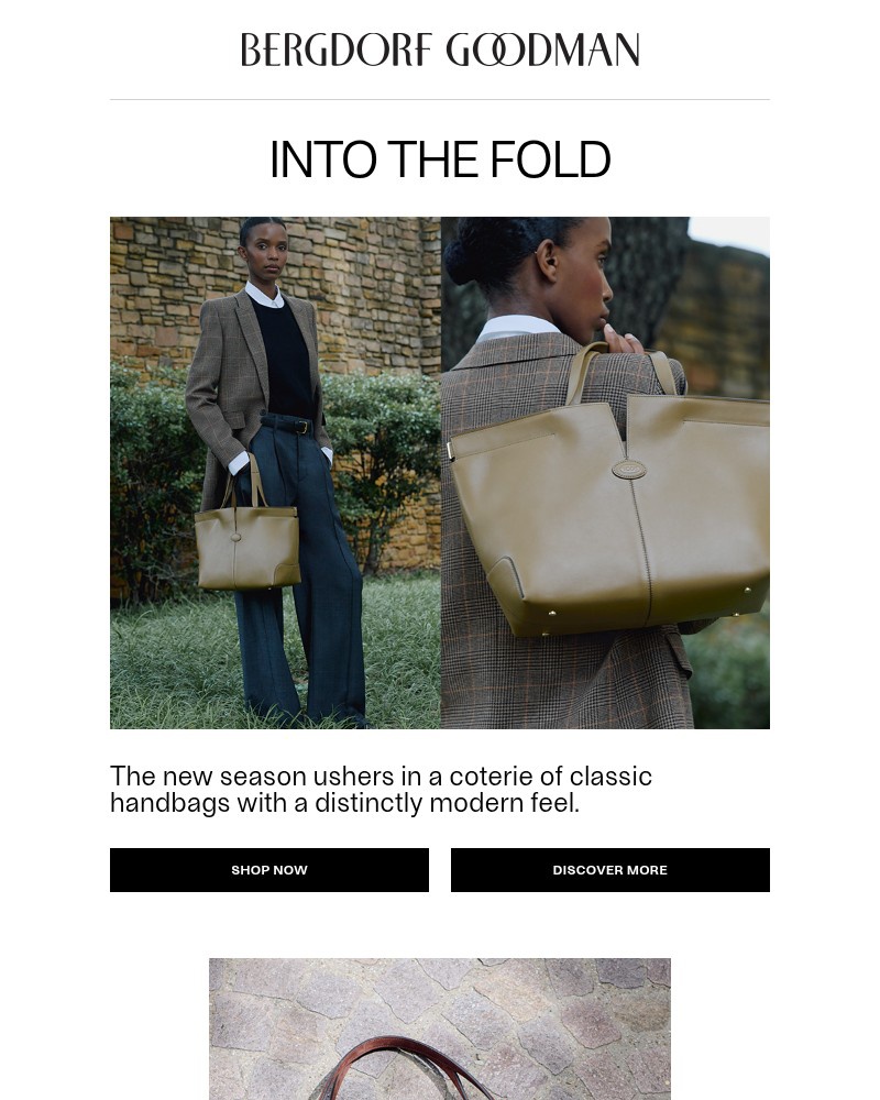 Screenshot of email with subject /media/emails/into-the-fold-falls-chic-carryalls-030af3-cropped-a04a372b.jpg