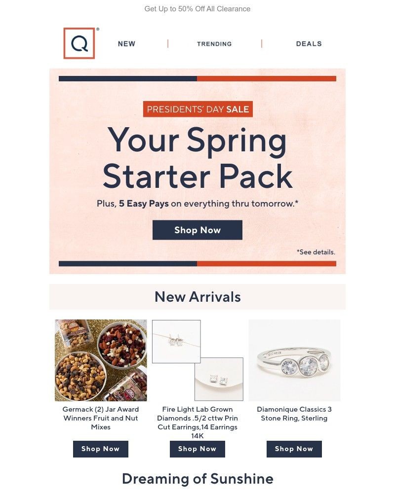 Screenshot of email with subject /media/emails/intro-to-spring-presidents-day-sale-79a867-cropped-0bf03400.jpg