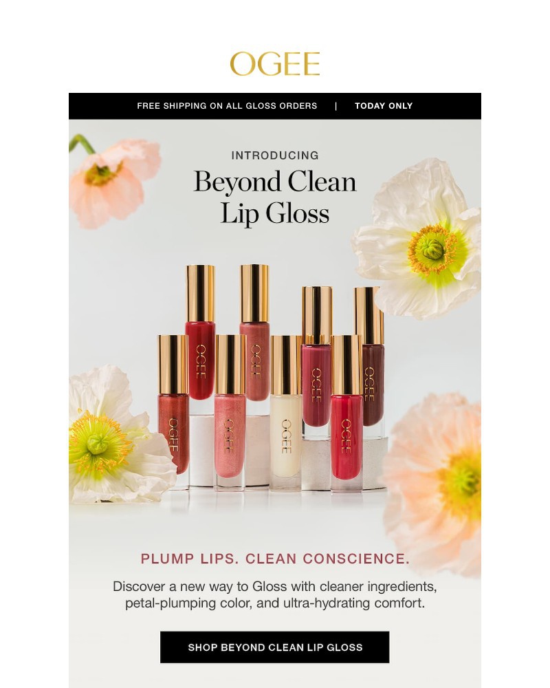 Screenshot of email with subject /media/emails/introducing-beyond-clean-lip-gloss-259b9c-cropped-49585eac.jpg
