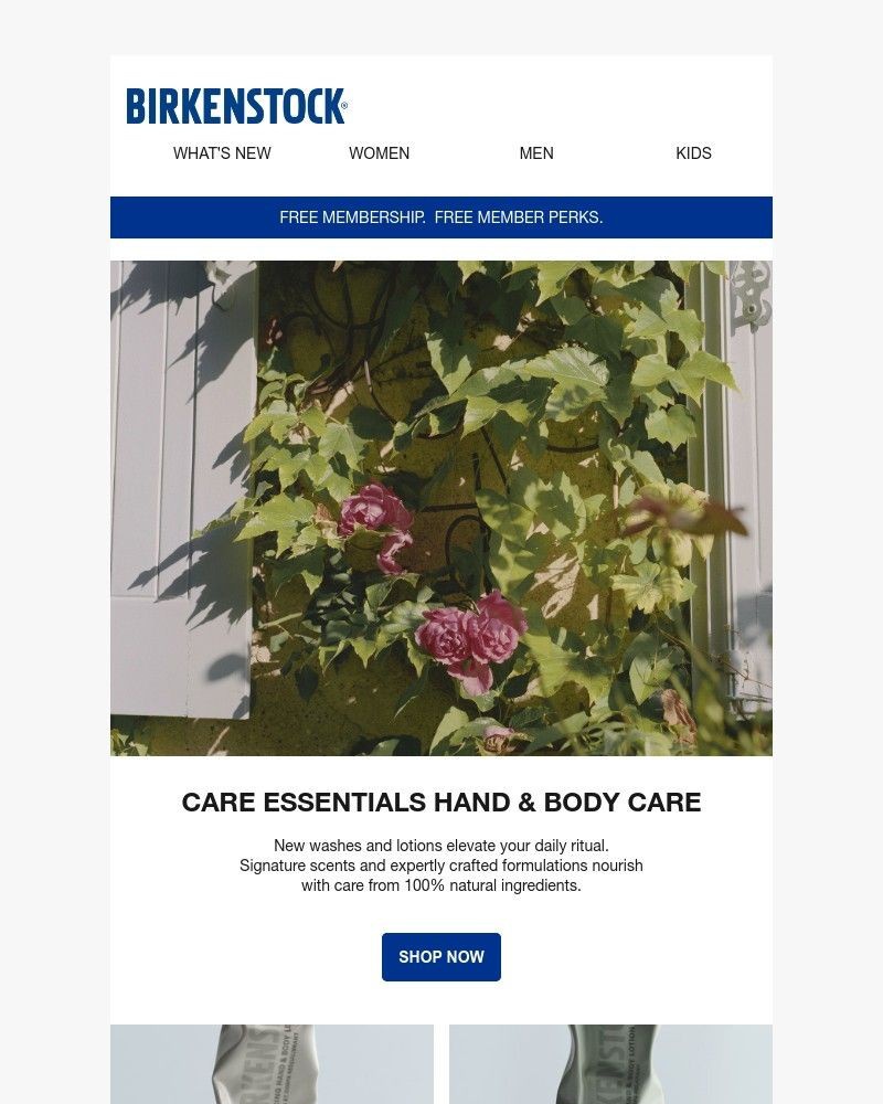 Screenshot of email with subject /media/emails/introducing-care-essentials-hand-body-care-03f460-cropped-b885003d.jpg