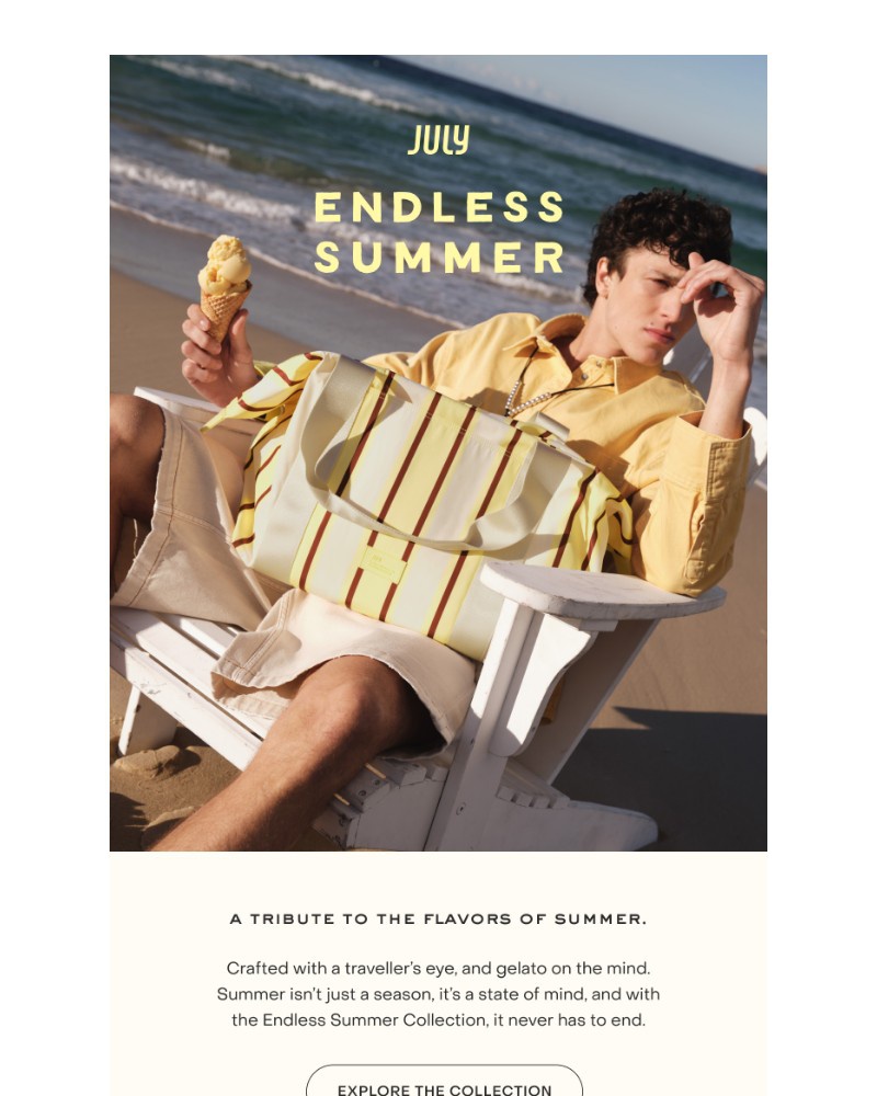 Screenshot of email with subject /media/emails/introducing-endless-summer-2288ca-cropped-4096aad0.jpg