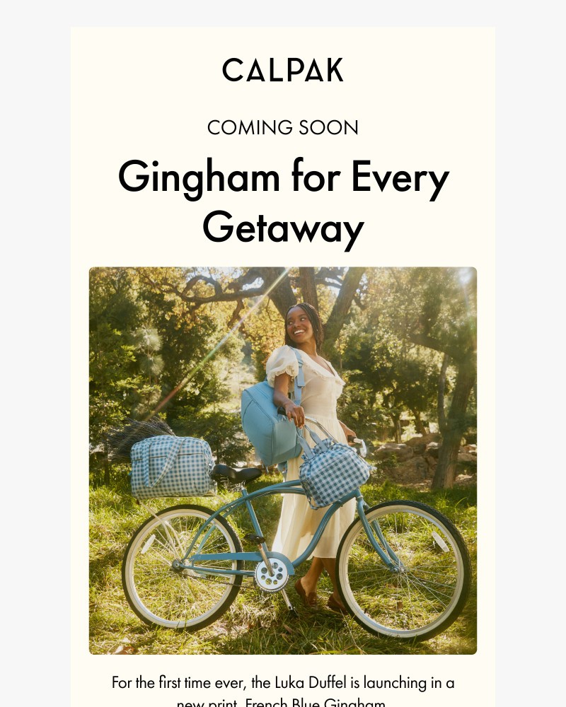 Screenshot of email with subject /media/emails/introducing-french-blue-gingham-b371a7-cropped-7fbec6ee.jpg