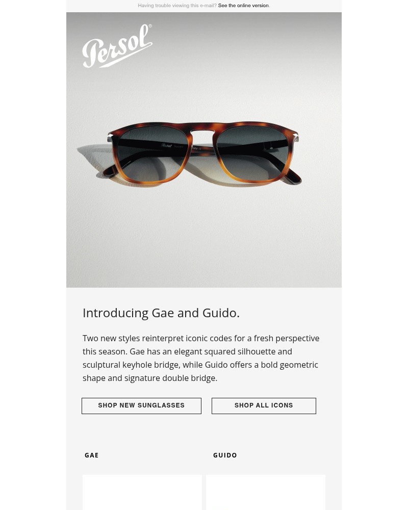Screenshot of email sent to a Persol Newsletter subscriber