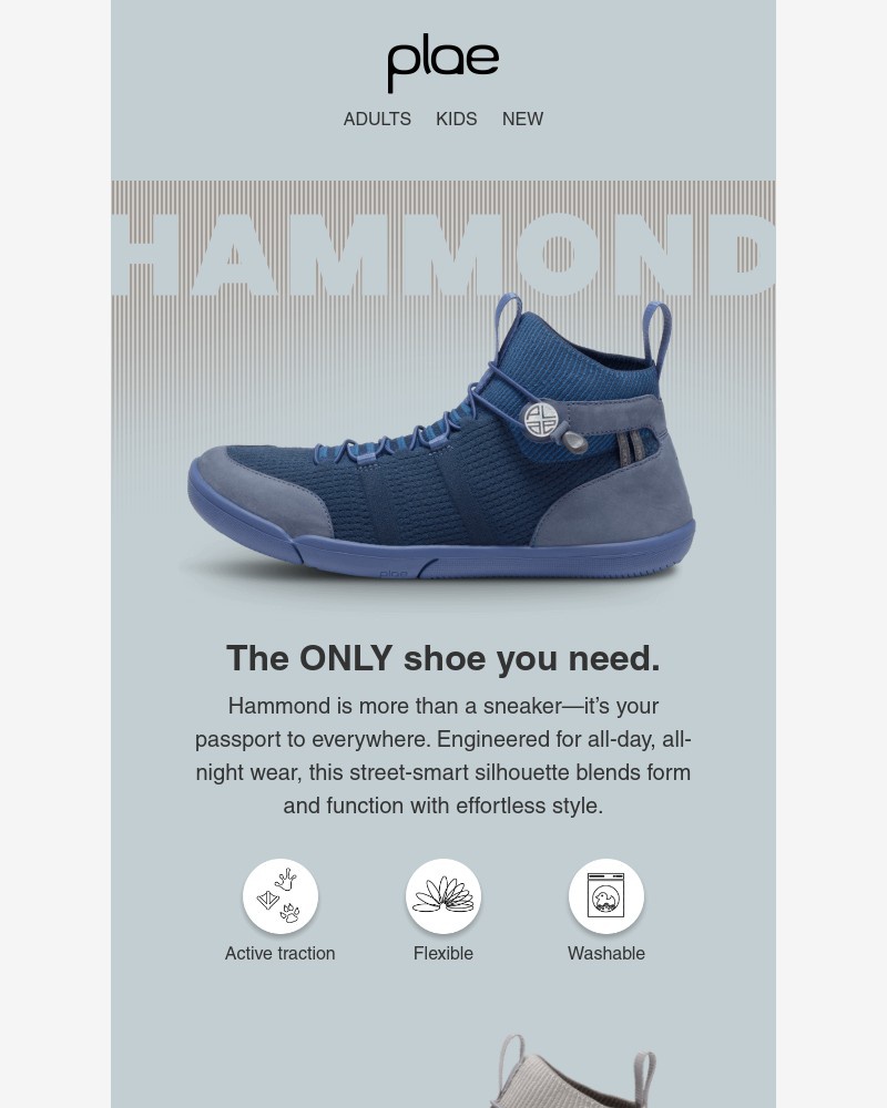 Screenshot of email with subject /media/emails/introducing-hammond-marshmallow-comfort-barefoot-feel-6de12c-cropped-175c6f29.jpg