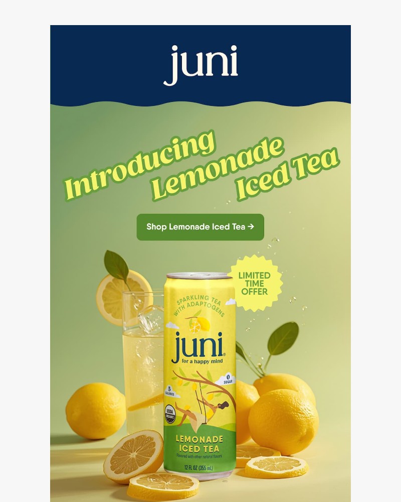 Screenshot of email with subject /media/emails/introducing-lemonade-iced-tea-dd9ea9-cropped-b041c551.jpg