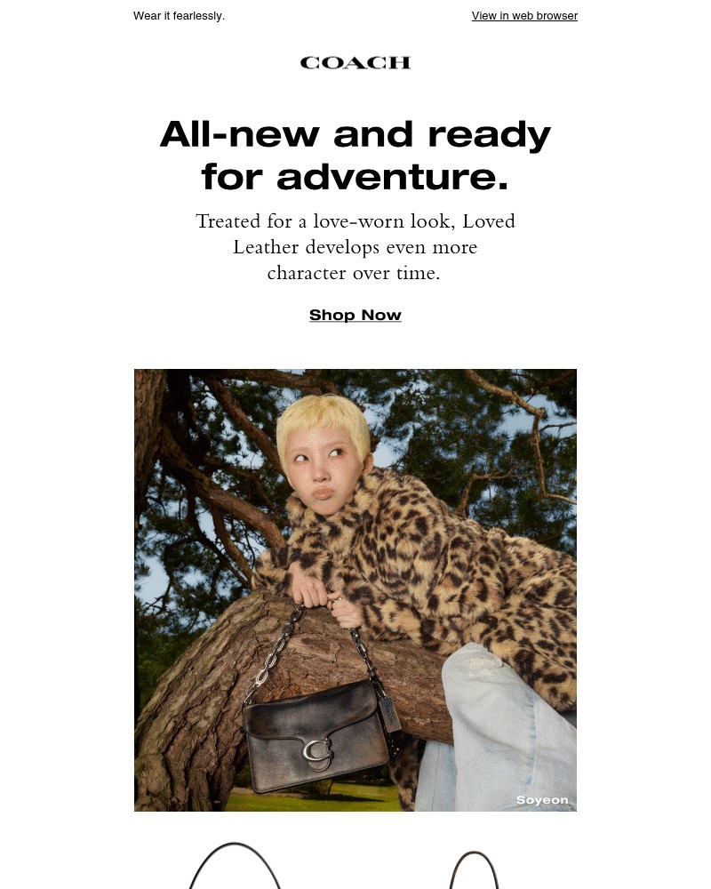 Screenshot of email with subject /media/emails/introducing-loved-leather-for-all-your-adventures-ef433c-cropped-e96d4f1b.jpg
