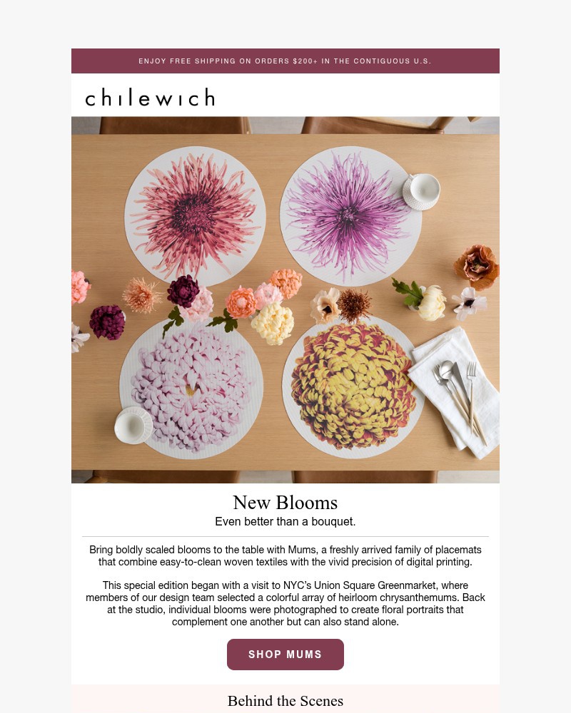Screenshot of email sent to a Chilewich Newsletter subscriber