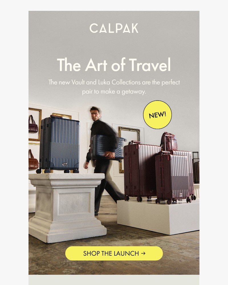 Screenshot of email sent to a Calpak Newsletter subscriber