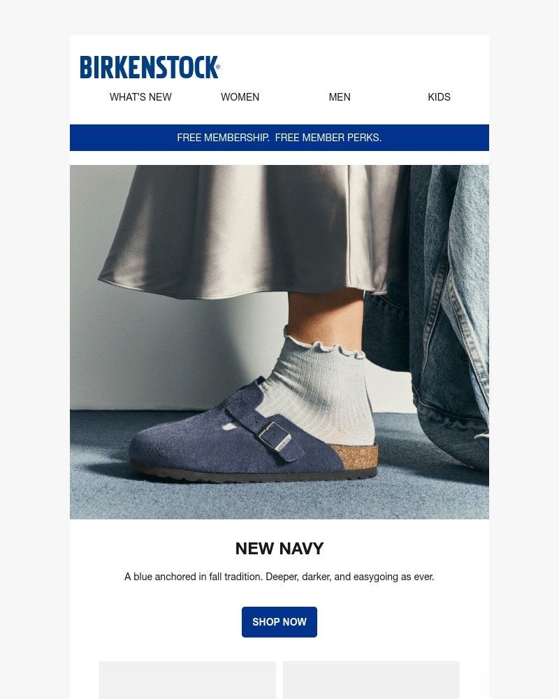Screenshot of email with subject /media/emails/introducing-new-navy-858285-cropped-e13a0999.jpg