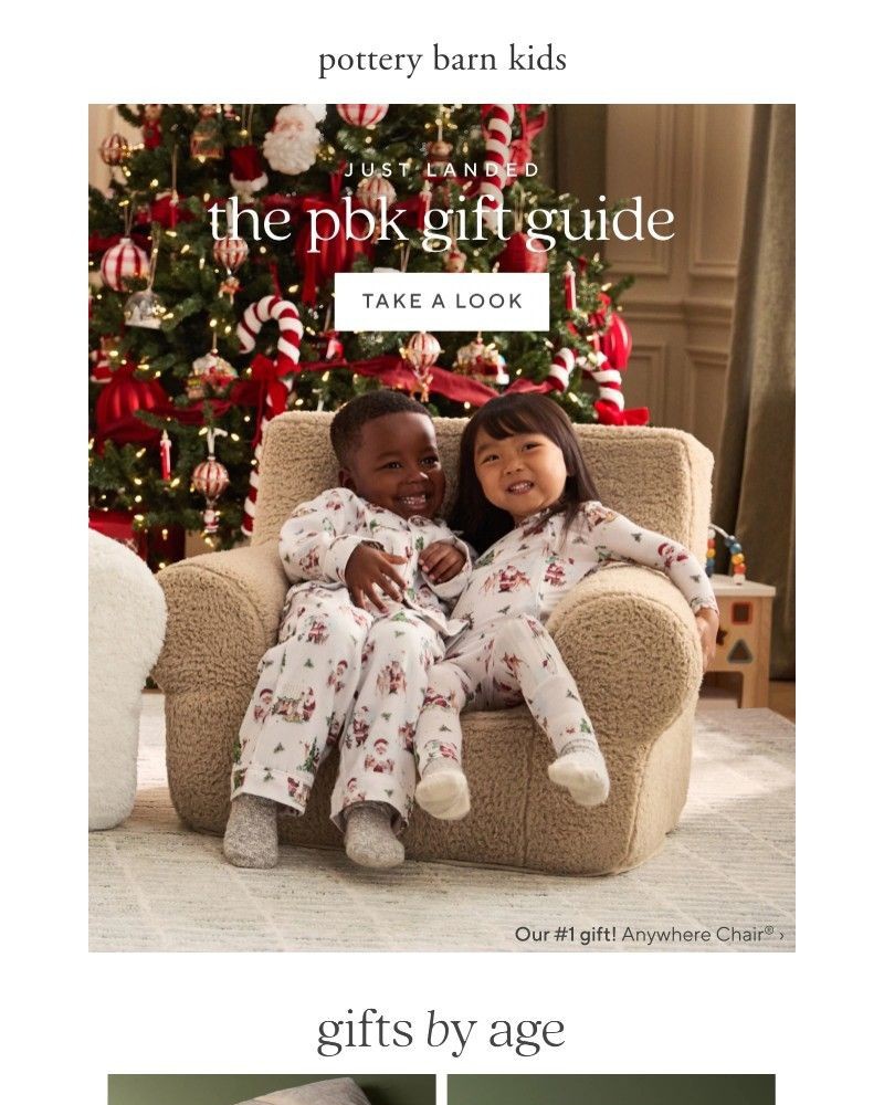 Screenshot of email with subject /media/emails/introducing-our-2025-holiday-gift-guide-9d206a-cropped-a78dda27.jpg