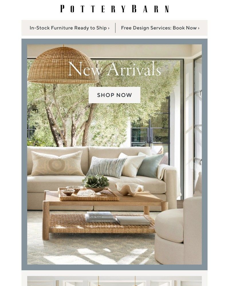 Screenshot of email with subject /media/emails/introducing-our-new-collections-97dffb-cropped-a507dadd.jpg