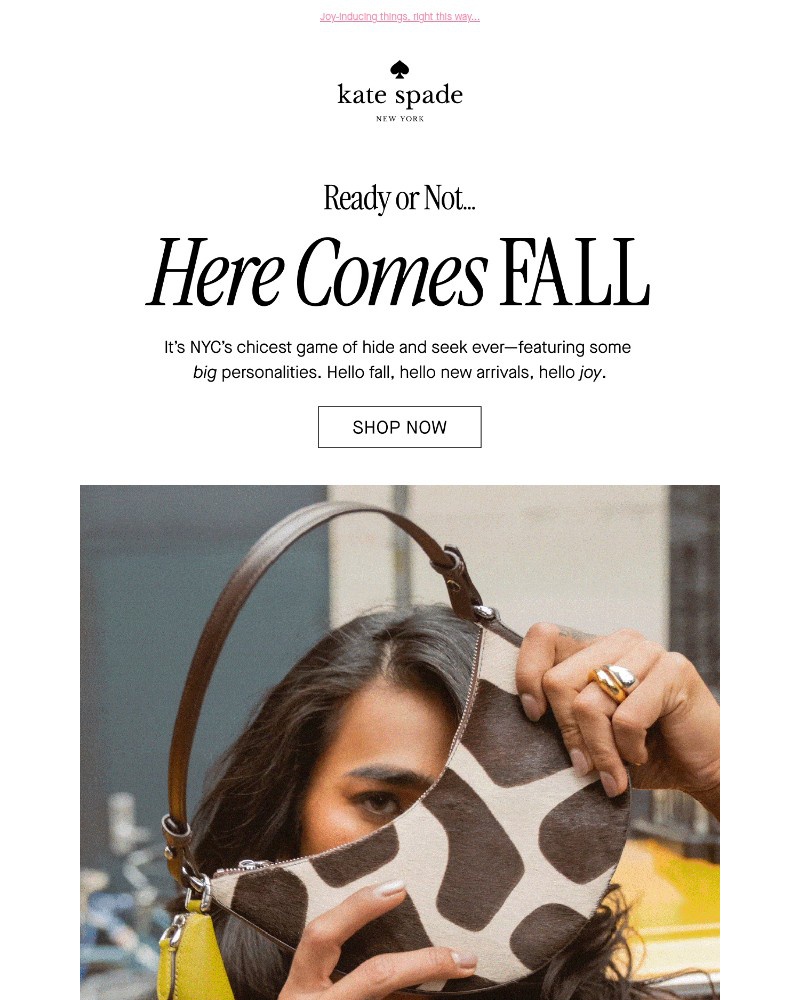 Screenshot of email with subject /media/emails/introducing-our-new-fall-collection-f053b3-cropped-45a46f32.jpg