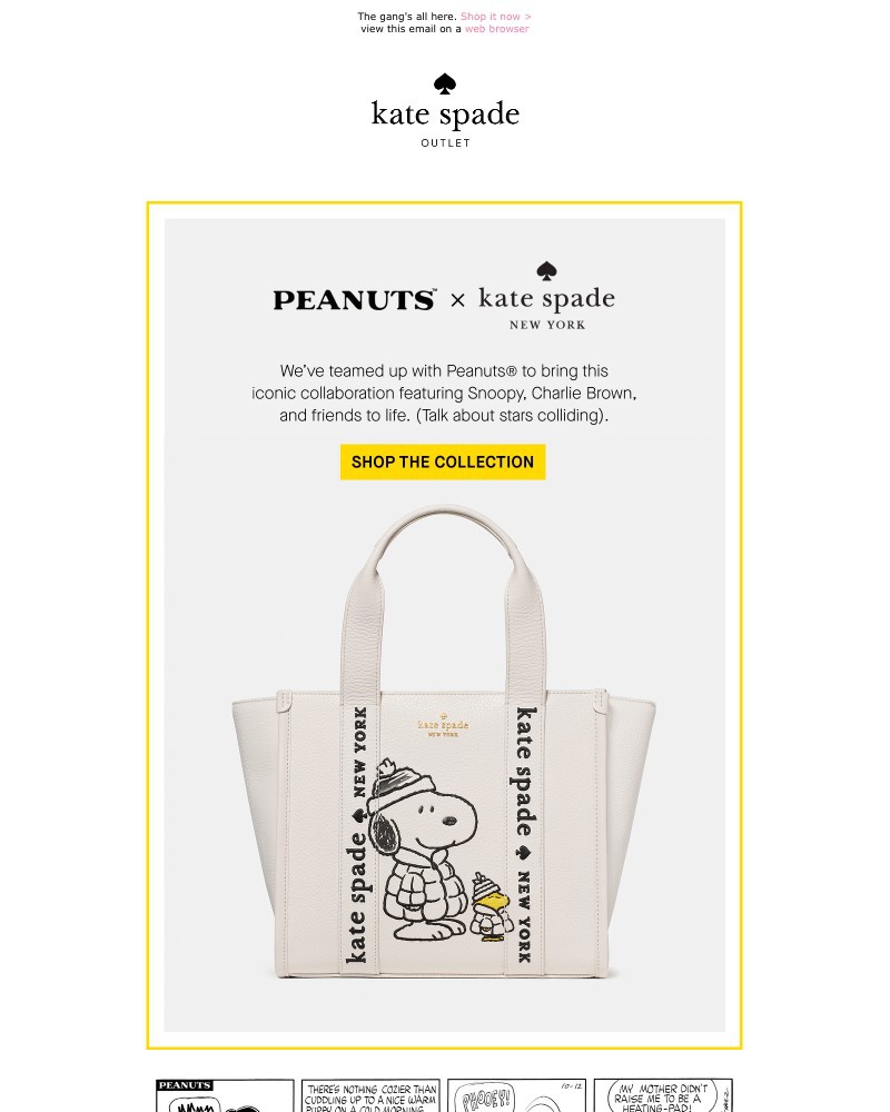 Screenshot of email with subject /media/emails/introducing-our-peanuts-collab-2efe54-cropped-2904c928.jpg