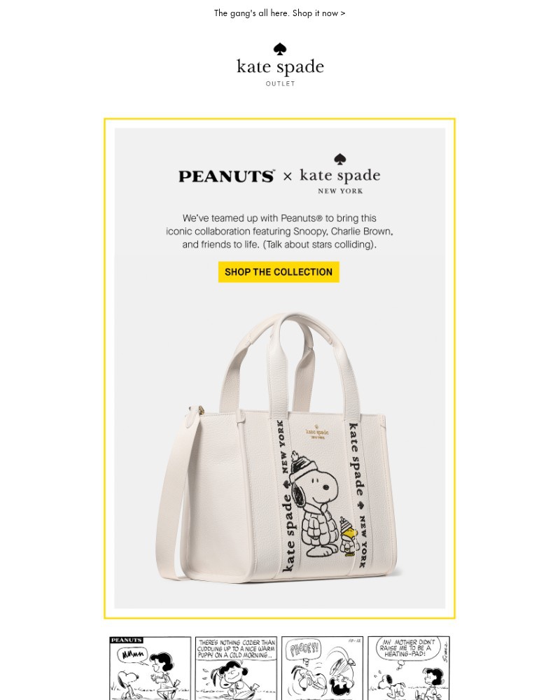 Screenshot of email with subject /media/emails/introducing-our-peanuts-collab-4a6794-cropped-98d940a1.jpg