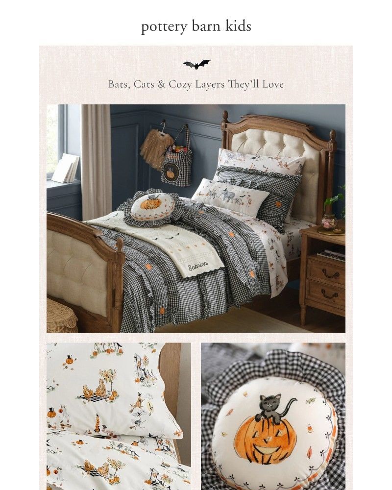 Screenshot of email with subject /media/emails/introducing-our-riley-sheehey-halloween-collection-40f542-cropped-d997aff3.jpg