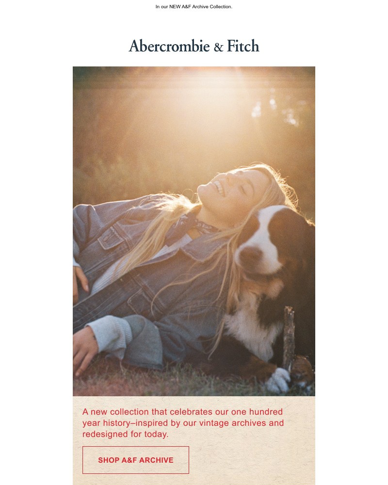 Screenshot of email with subject /media/emails/introducing-renee-rapp-for-af-bf5d92-cropped-bb85211c.jpg