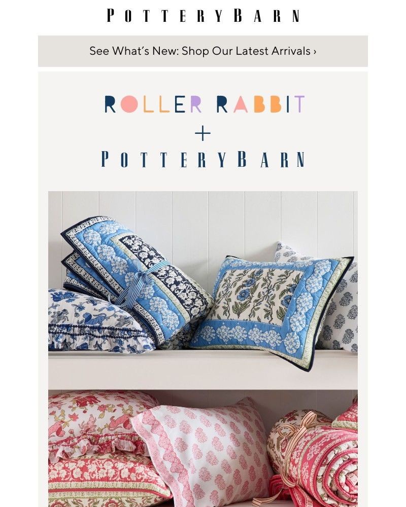Screenshot of email with subject /media/emails/introducing-roller-rabbit-x-pottery-barn-cd72cd-cropped-f2accd49.jpg
