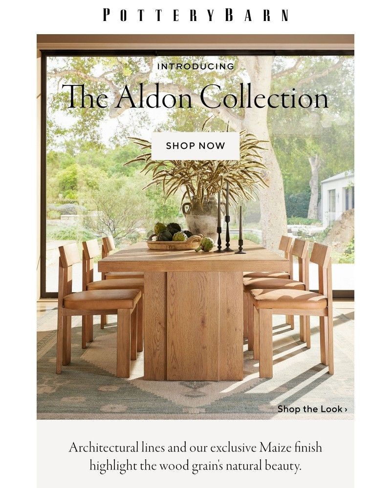 Screenshot of email with subject /media/emails/introducing-the-aldon-collection-2f3f77-cropped-00209c6c.jpg