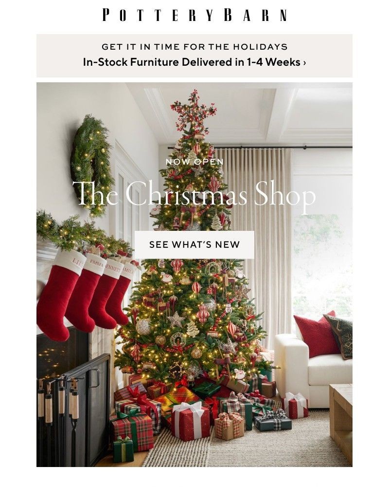 Screenshot of email with subject /media/emails/introducing-the-christmas-shop-dbe6b6-cropped-ca248122.jpg