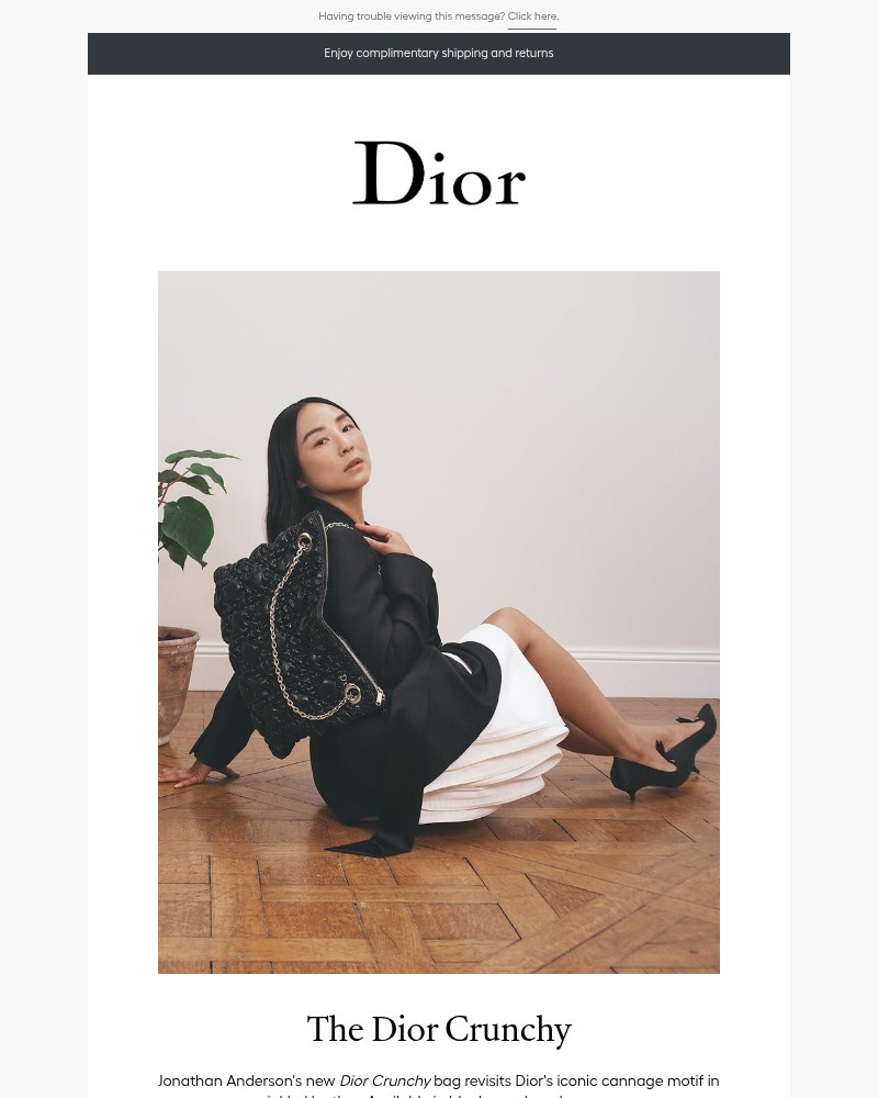 Screenshot of email with subject /media/emails/introducing-the-dior-crunchy-bag-a4ff0b-cropped-3f0f635f.jpg