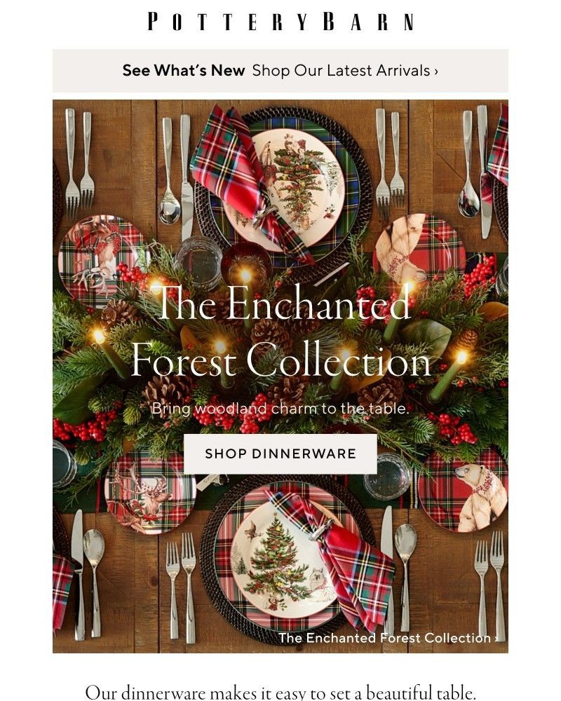 Screenshot of email with subject /media/emails/introducing-the-enchanted-forest-collection-e44454-cropped-1648ec7f.jpg