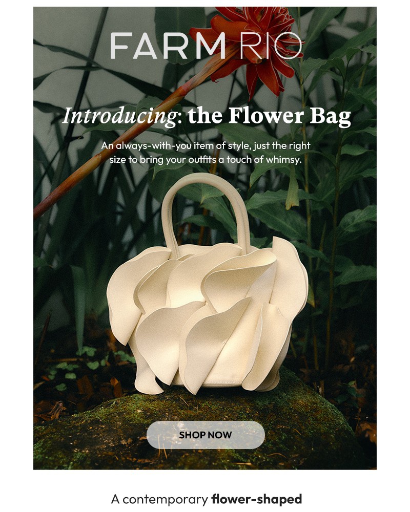 Screenshot of email with subject /media/emails/introducing-the-flower-bag-595200-cropped-ae023d03.jpg