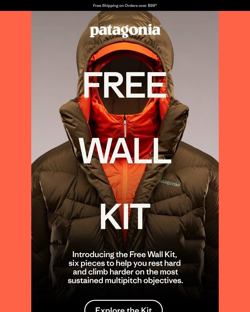 Screenshot of email sent to a Patagonia Newsletter subscriber