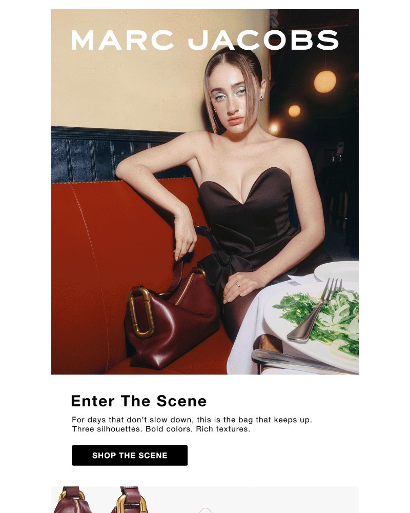 Screenshot of email with subject /media/emails/introducing-the-scene-bag-30343b-cropped-895ddd1c.jpg