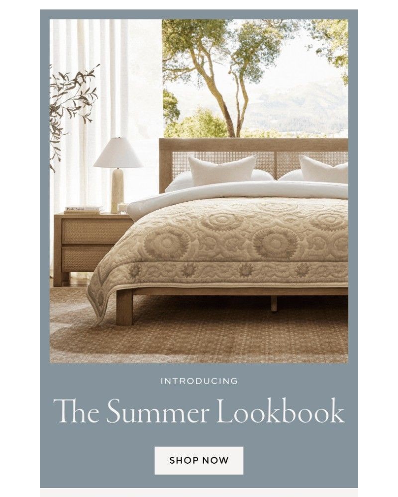 Screenshot of email with subject /media/emails/introducing-the-summer-lookbook-578fca-cropped-92c02c2a.jpg