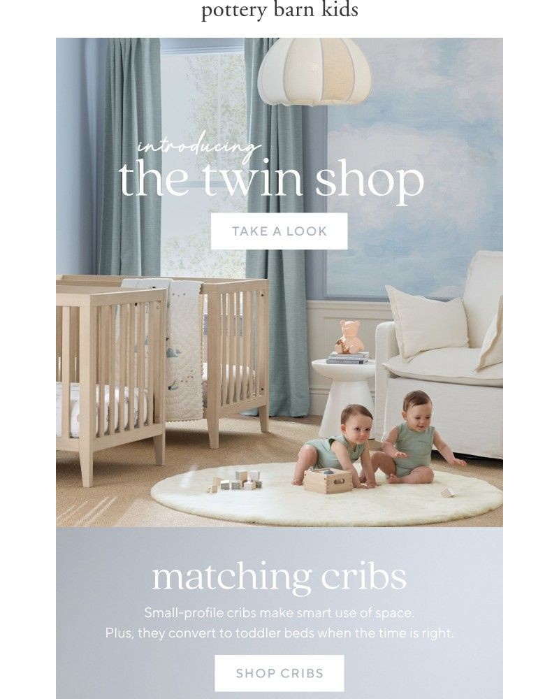 Screenshot of email with subject /media/emails/introducing-the-twin-shop-for-babies-ff85b1-cropped-c03098c0.jpg
