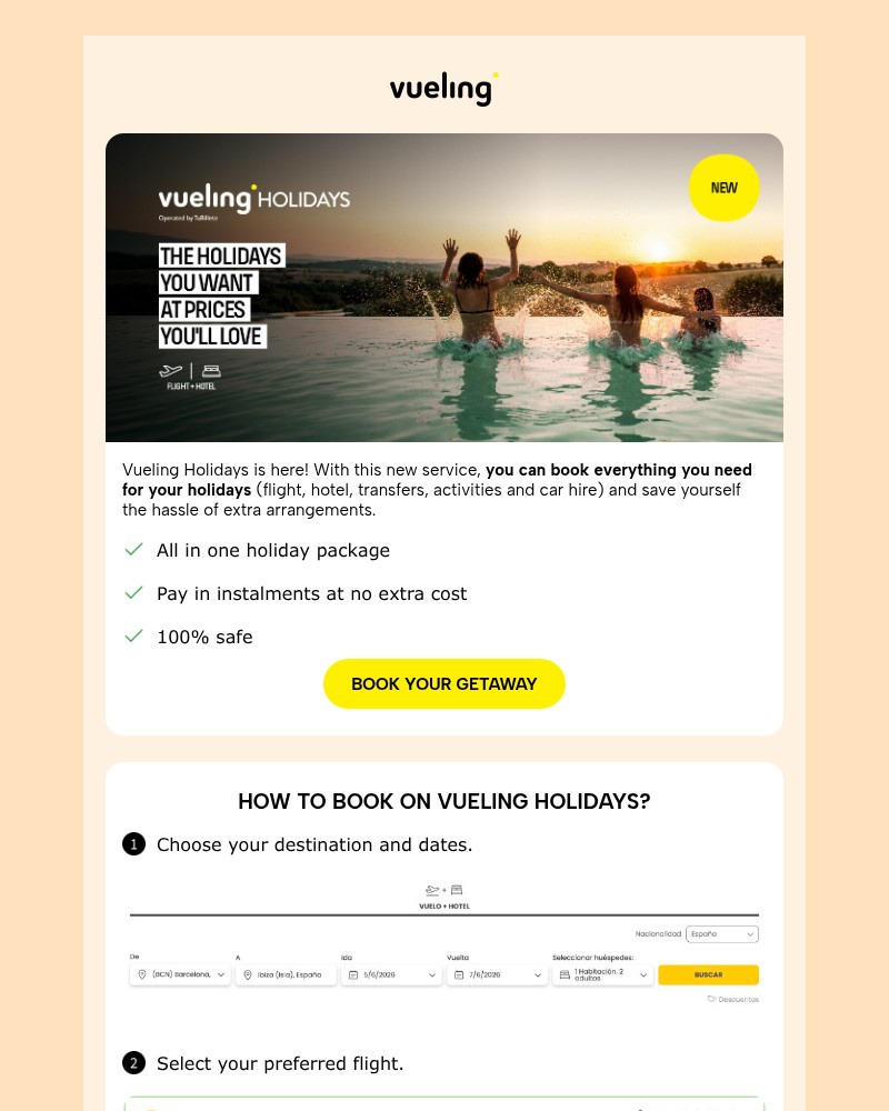 Screenshot of email sent to a Vueling Registered user