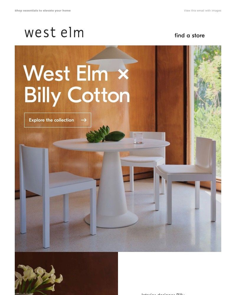 Screenshot of email with subject /media/emails/introducing-west-elm-x-billy-cotton-40f8f8-cropped-a8819299.jpg
