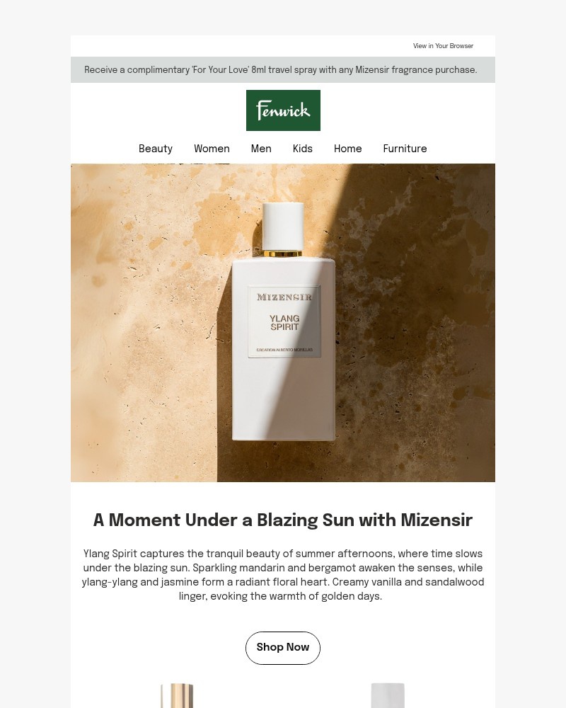 Screenshot of email with subject /media/emails/introducing-ylang-spirit-by-mizensir-1942df-cropped-d558ef1c.jpg