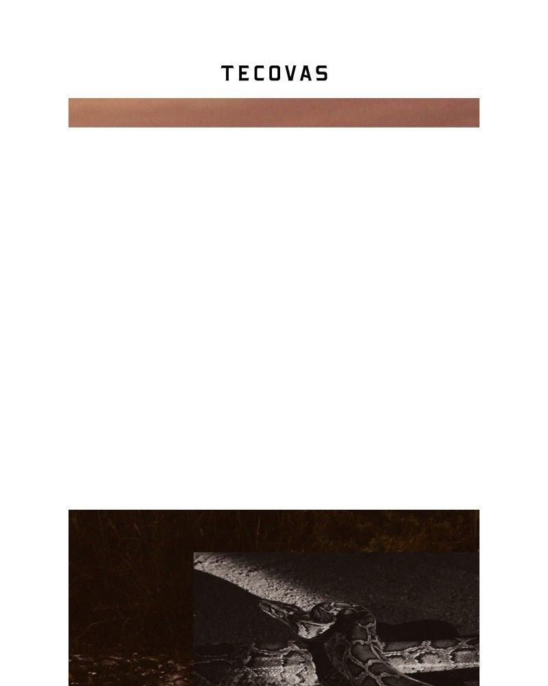 Screenshot of email sent to a Tecovas Newsletter subscriber